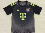 Bayern Münich portero color gris 25/26