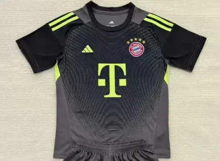 Bayern Münich portero color gris 25/26