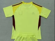 Aston Villa portero color amarillo 25/26 - Imagen 2