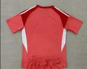 Aston Villa portero color rojo 25/26 - Imagen 2