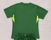 Chelsea portero color verde 25/26 - Imagen 2