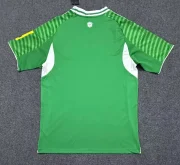 Newcastle United visitante 25/26 - Imagen 4