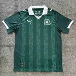 Plymouth local 25/26