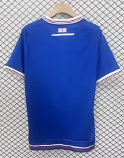 Linfield local 25/26 - Imagen 4