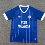 Cardiff City local 25/26