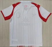 Southampton local 25/26 - Imagen 2