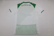 SpVgg Greuther local 25/26 - Imagen 11