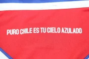 Chile retro 2014 - Imagen 14