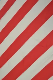 Chivas retro 100 aniversario - Imagen 13