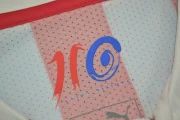 Chivas retro 100 aniversario - Imagen 5