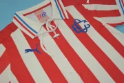 Chivas retro 100 aniversario - Imagen 6