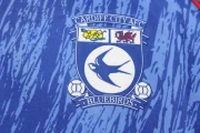 Cardiff City retro 92/93 - Imagen 2