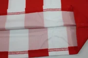 Chivas retro 08/09 - Imagen 3