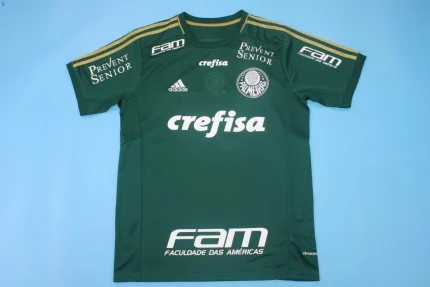Palmeiras retro 14/15 local