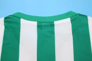 Real Betis retro 76/77 - Imagen 10