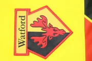 Watford retro 85/88 local - Imagen 3
