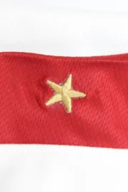 Inglaterra retro 2004 - Imagen 10