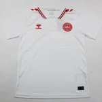 Dinamarca visitante 2024