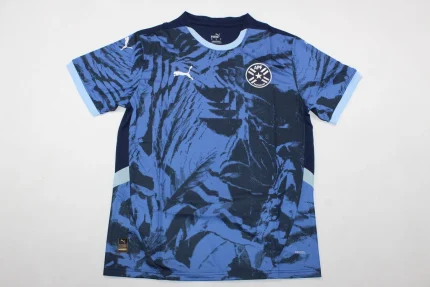 Paraguay visitante 2024