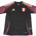 Perú visitante 2024