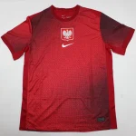 Polonia visitante 2024