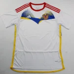 Venezuela visitante 2024