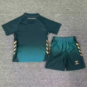 Kit de niño Werder Bremen alternativa 25/26 - Imagen 2