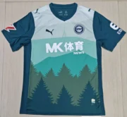 Alavés alternativa 25/26