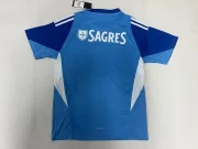 Benfica portero color azul 25/26 - Imagen 2