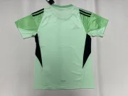 Benfica portero color verde 25/26 - Imagen 2