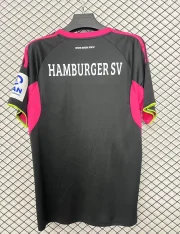 Hamburgo alternativa 25/26 - Imagen 2