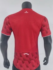 Lille local 25/26 versión jugador - Imagen 5