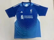 Liverpool portero color azul 25/26