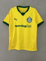 Palmeiras alternativa 25/26