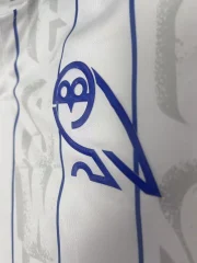 Sheffield Wednesday alternativa 25/26 - Imagen 3