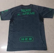 Tigres alternativa 25/26 - Imagen 2