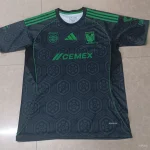 Tigres alternativa 25/26