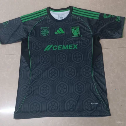 Tigres alternativa 25/26