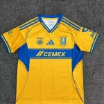 Tigres local 25/26