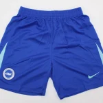 Short Brighton local 25/26