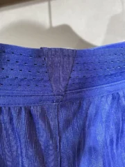 Short Tottenham local 25/26 versión jugador - Imagen 3