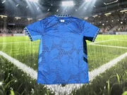 Israel visitante 2025 - Imagen 2