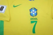 Brasil local 2025 - Imagen 9