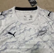 Nueva Zelanda prepartido 2026 - Imagen 2