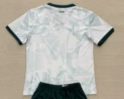 Irlanda visitante 2025 - Imagen 2