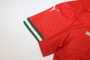 Kit de niño Portugal local 2025 versión jugador - Imagen 3