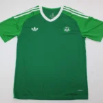 Argentina portero color verde 2025