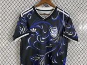 Argentina visitante 2026 - Imagen 2