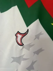 Burkina Faso visitante 2025 - Imagen 4
