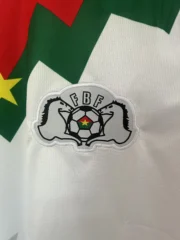 Burkina Faso visitante 2025 - Imagen 5